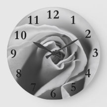 Black & White Rose