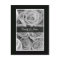 Black & White Rose Save the Date Invitation