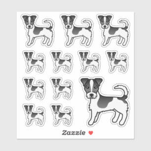 Black & White Rough Coat Jack Russell Terrier Dogs