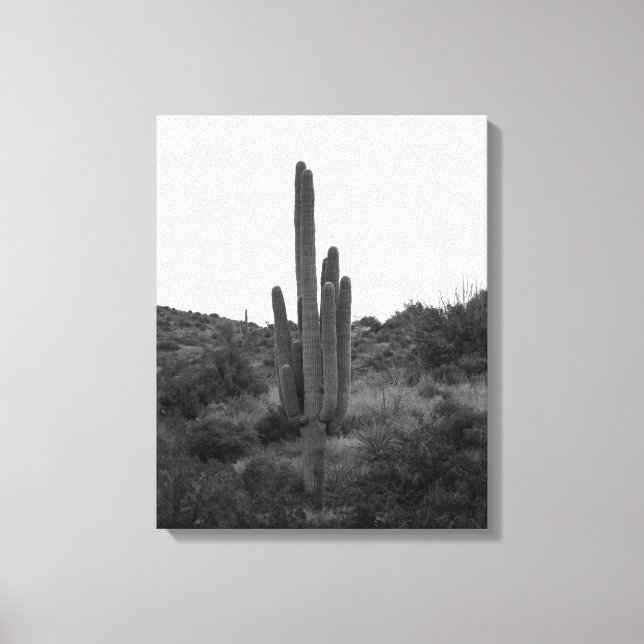 Black & White Saguaro Cactus 16x20 Canvas Print (Front)
