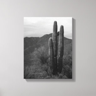 Black & White Saguaro Cactus in Hills 11x14 Canvas Print
