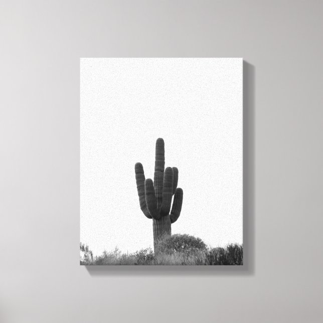 Black & White Saguaro Cactus on Top of Hill 11x14 Canvas Print (Front)