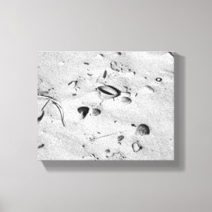 Black & White Seashells in the Sand 8x10 Canvas Print