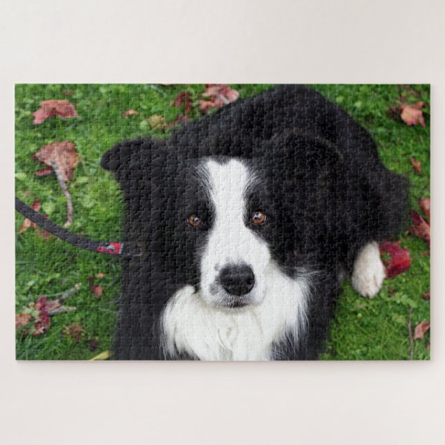 Black & white sheep dog jigsaw puzzle (Horizontal)