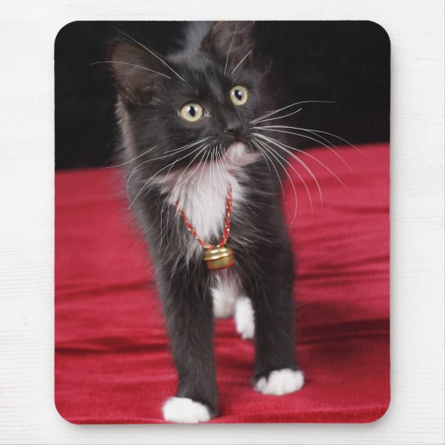 Black & white short-haired kitten, 2 1/2 months mouse pad (Front)