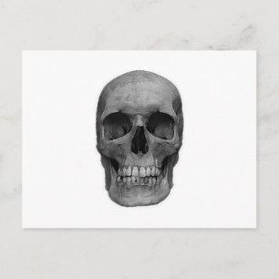 Black & White Skull Postcard