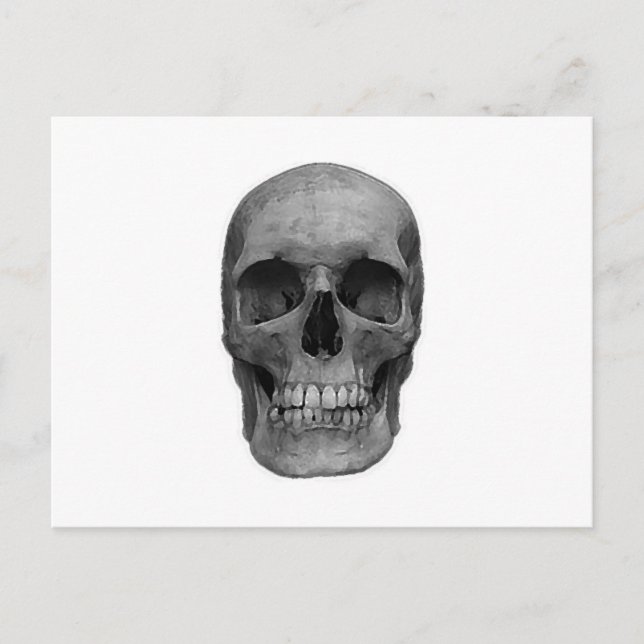 Black & White Skull Postcard (Front)