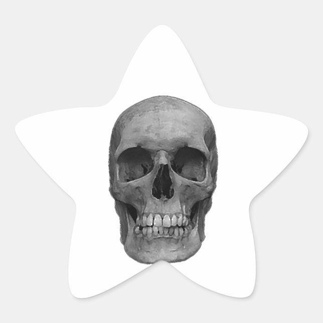 Black & White Skull Star Sticker (Front)