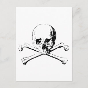 Black & White Skull & the Bones Postcard