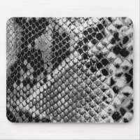 Black White Snake