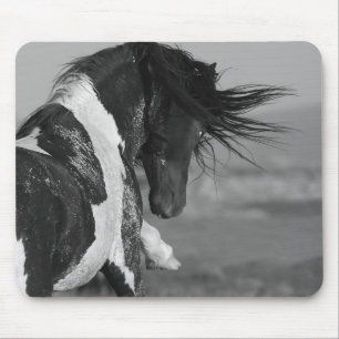 Black & White Stallion Strikes Wild Horse Mousepad