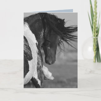 Black & White Strikes Wild Horse Greeting Card