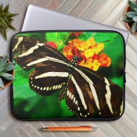 Black white stripe zebra longwing butterfly photo