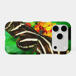 Black white stripes butterfly zebra longwing photo