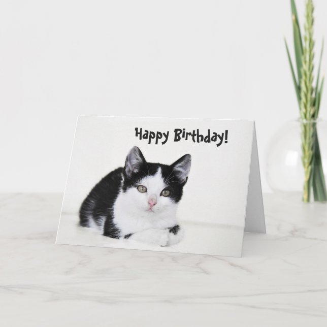 Black White Thoughtful Kitten Greeting Card (Front)