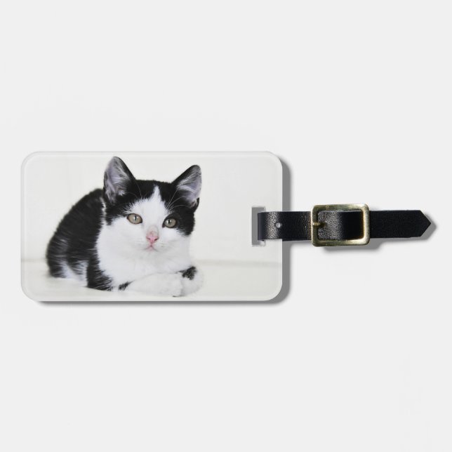 Black White Thoughtful Kitten Luggage Tags (Front Horizontal)