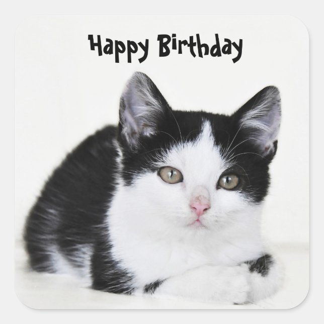 Black White Thoughtful Kitten Sticker (Front)