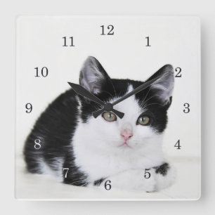 Black White Thoughtful Kitten Wall Clock