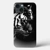 Black White Tiger Art Photo