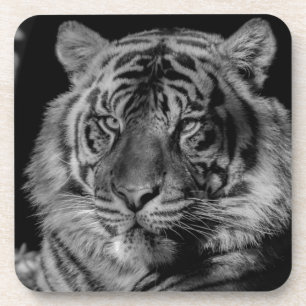 Black & White Tiger Coaster