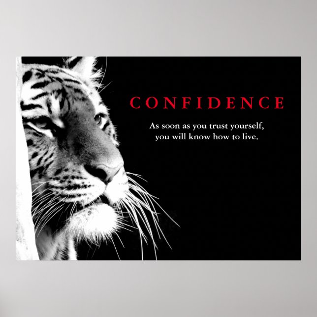 Black White Tiger Confidence Quote Inspirational Poster (Front)