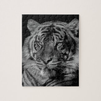 Black & White Tiger Jigsaw Puzzle