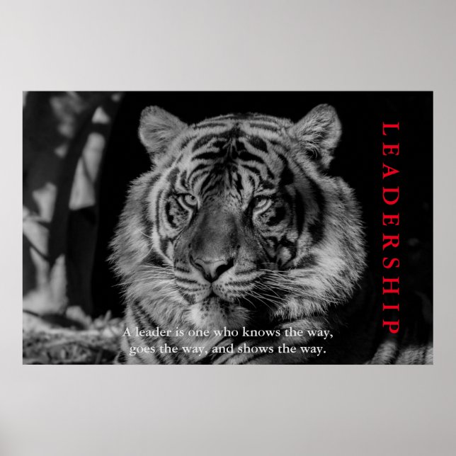 Black & White Tiger Leadership Motivational Poster (Front)