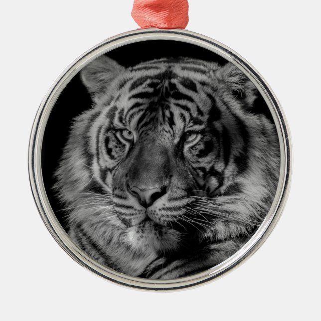 Black & White Tiger Metal Ornament (Front)