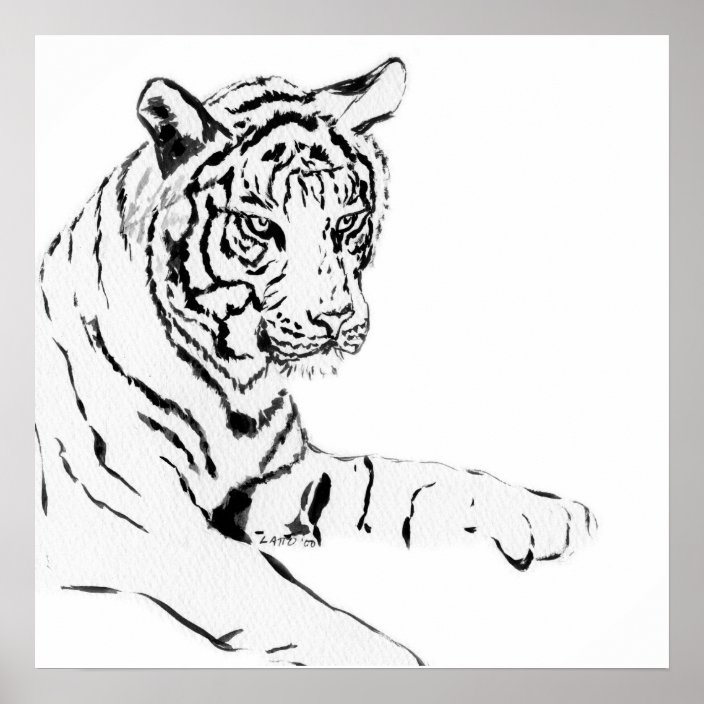 Black & White Tiger Sketch Poster | Zazzle.ca