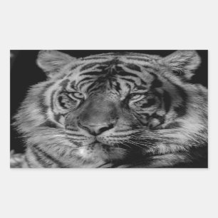 Black & White Tiger Sticker