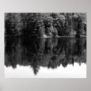 Black & White Trees Reflection in the Water 16x20 Poster