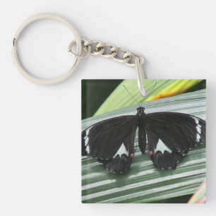 Black & White Tropical Butterfly Acrylic Keychain