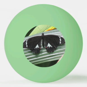 Black & White Tropical Butterfly Ping Pong Ball