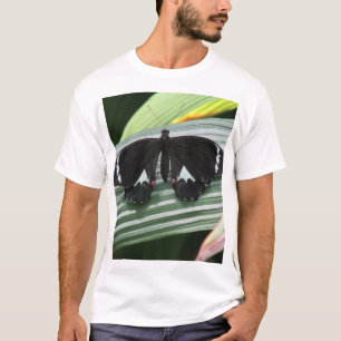 Black & White Tropical Butterfly T-Shirt