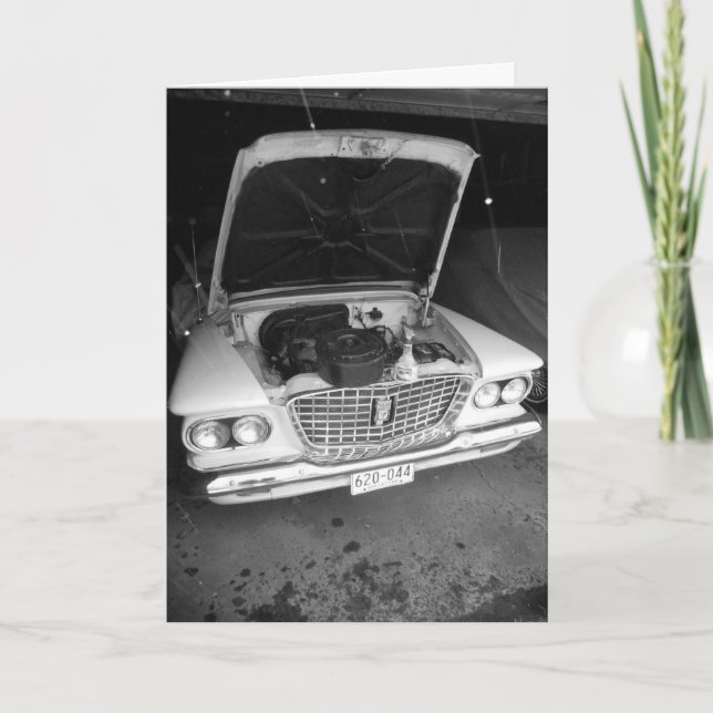 "Black & White Valiant with Snowflakes" Get Well Card (Front)