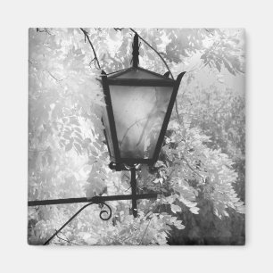 Black & White view of light fixture Magnet