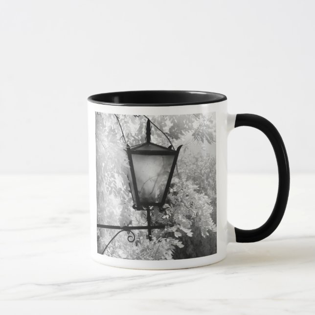 Black & White view of light fixture Mug (Right)