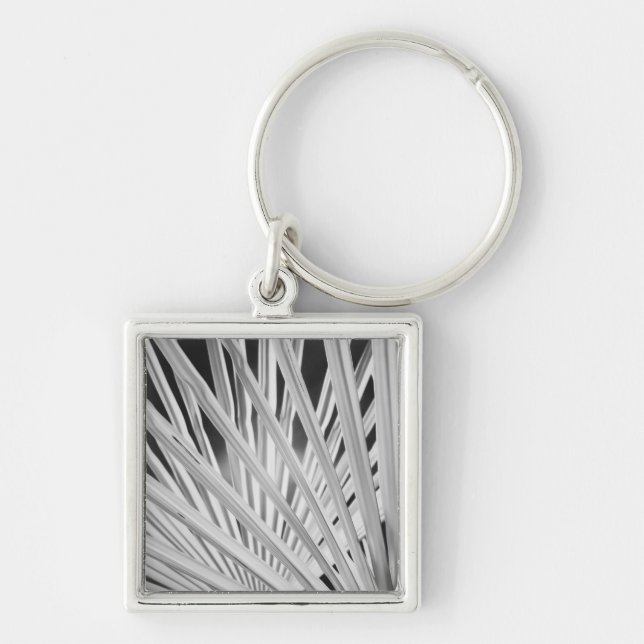 Black & White view of palm tree fronds Keychain (Front)
