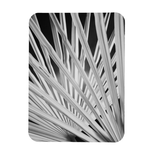 Black & White view of palm tree fronds Magnet (Vertical)