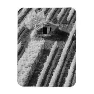Black & White view of small stone barn Magnet