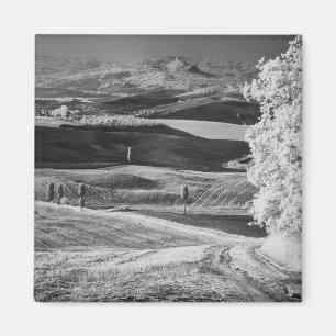 Black & White view of winding road Magnet