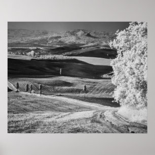 Black & White view of winding road Poster