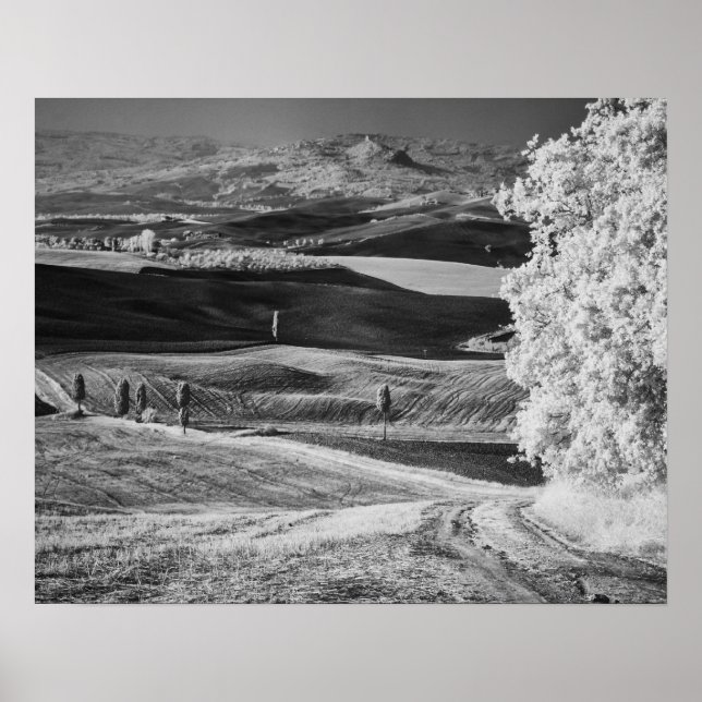 Black & White view of winding road Poster (Front)