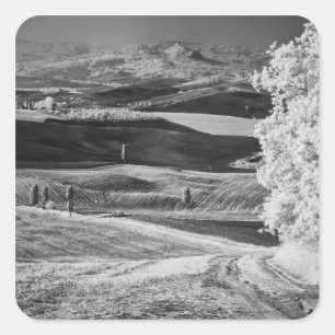 Black & White view of winding road Square Sticker