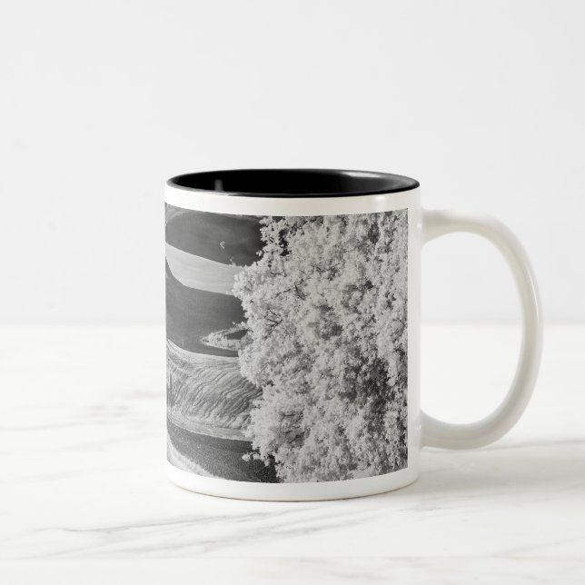 Black & White view of winding road Two-Tone Coffee Mug (Right)