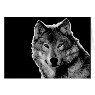 Black & White Wolf Artwork