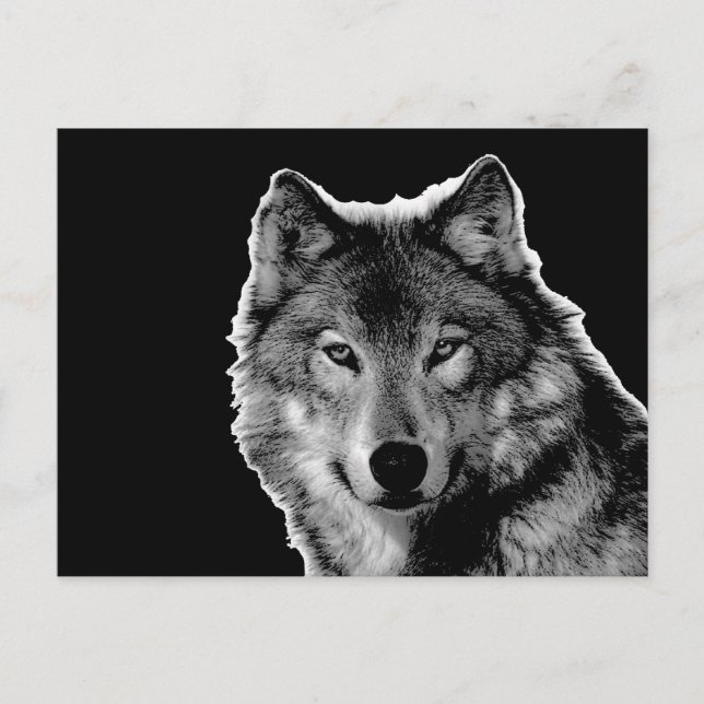 Black & White Wolf Artwork Postcard (Front)