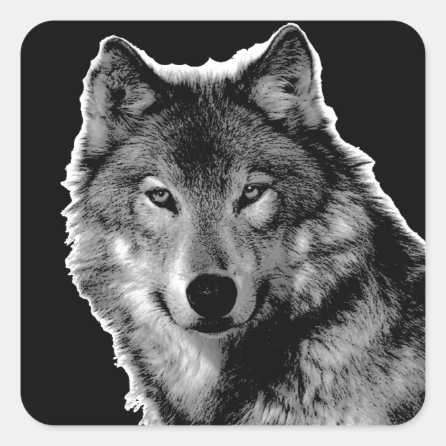 Black & White Wolf Artwork Square Sticker (Front)