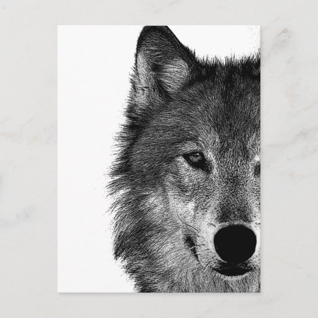 Black & White Wolf Eye Artwork Holiday Postcard (Front)