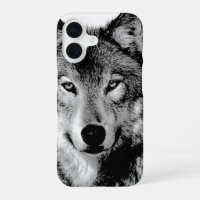 Black & White Wolf